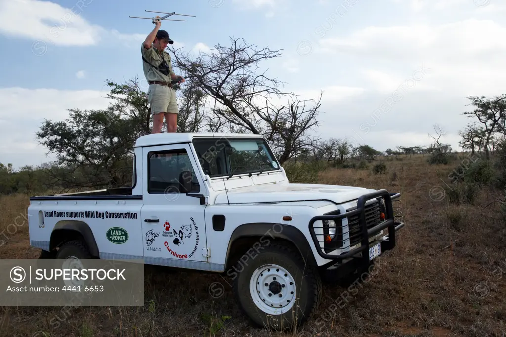 Thadaugh Baggallay tracking Wild dog (Lycaon pictus). Hluhluwe Imfolozi Park. KwaZulu Natal. South Africa