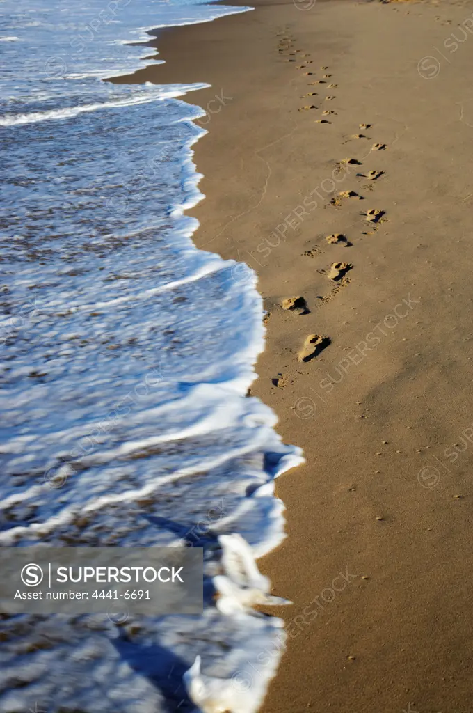 Footprints on the beach. Cape Vidal. Greater St Lucia Wetland Park. KwaZulu Natal. South Africa