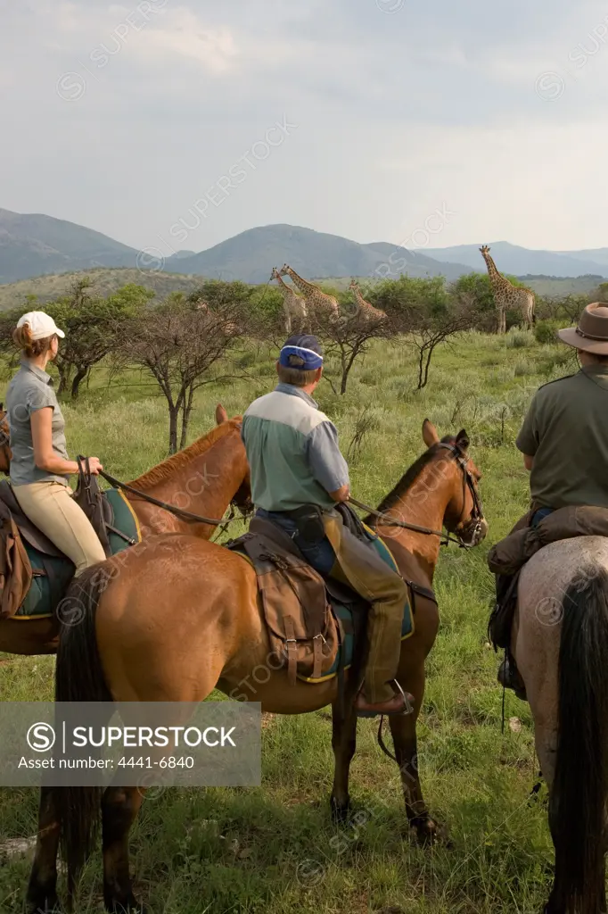 Horse Safari. Songimvelo Game Reserve. Mpumalanga. South Africa