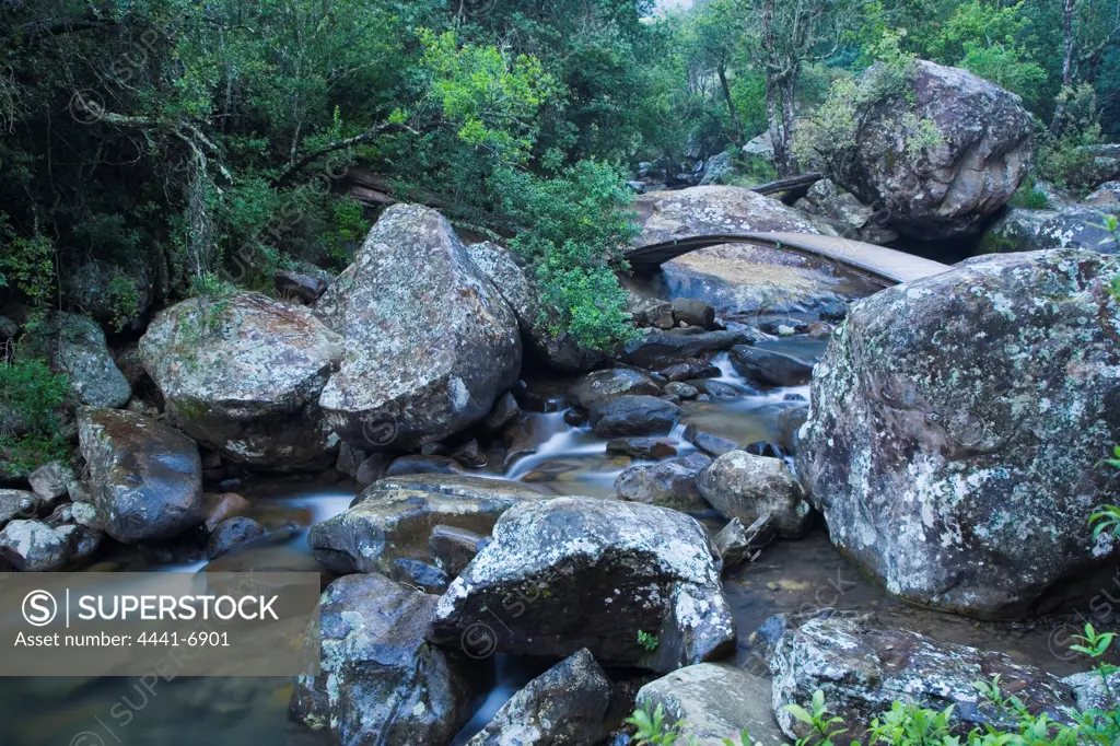 Riverine scene. Cascades. Royal Natal National Park. KwaZulu Natal. South Africa.