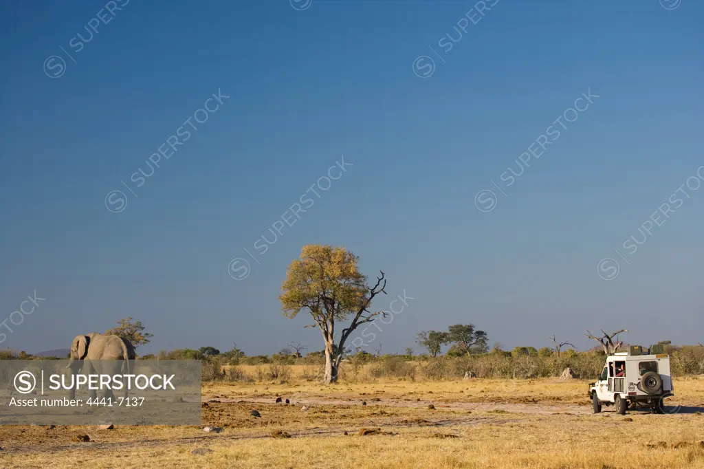 Tourists in Game Drive vehicle watching Elephant (Loxodonta africana) at Pump Pan. Savuti. Chobe National Park. Botswana