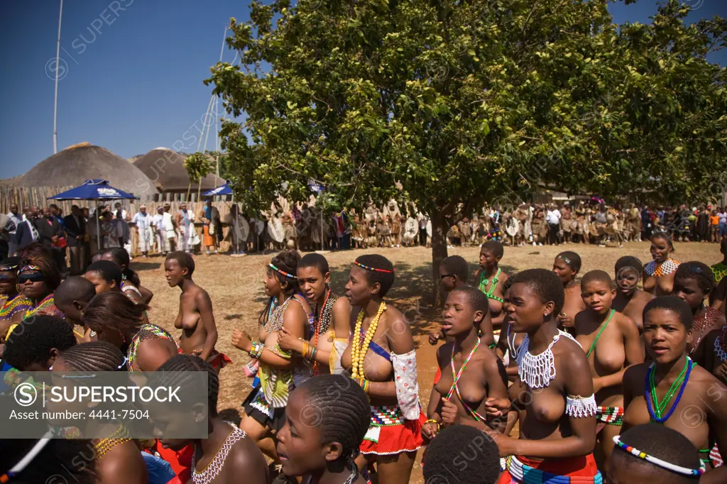 Zulu girls in traditional dress, having delivered reeds to King Goodwill Zwelenthini, move past the Royal entourage. Zulu Reed Dance. eNyokeni Royal Palace. Nongoma. KwaZulu Natal. South Africa
