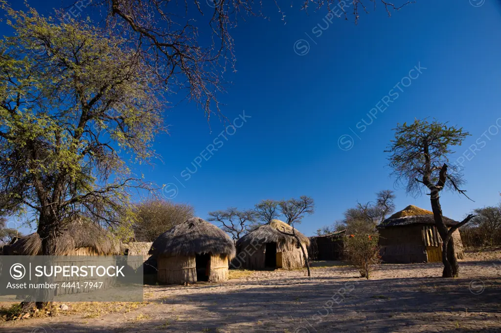 Bushman camp. Ghanzi.  Botswana