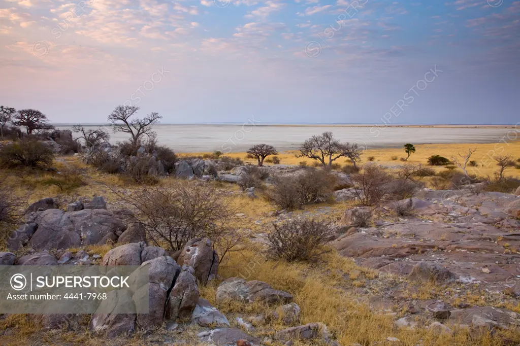 Lekhubu (Kubu) Island. Sowa Pan. Makgadikgadi Pans.  Botswana