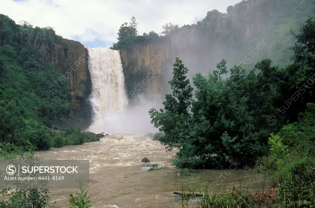 Howick Falls on the Umgeni River at Howick. The Falls are 93m high and the area is a Natural heritage site. KwaZulu-Natal. South Africa.