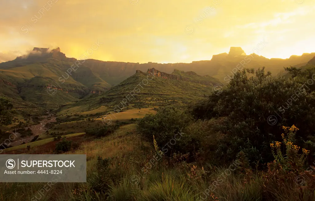 The Amphitheatre. Royal Natal National Park. uKhahlamba Drakensberg Park. KwaZulu-Natal. South Africa.