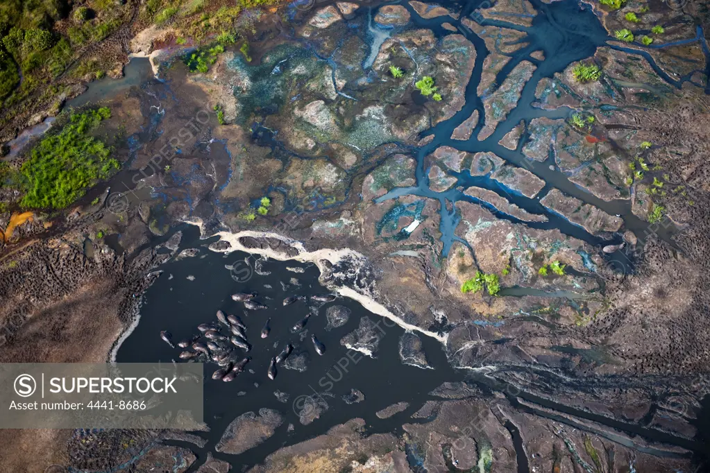 Aerial view of the iSimangaliso Wetland Park (previously the Greater St Lucia Wetland Park) with Hippo (Hippopotamus amphibius) wallowing in a waterhole. KwaZulu Natal. South Africa