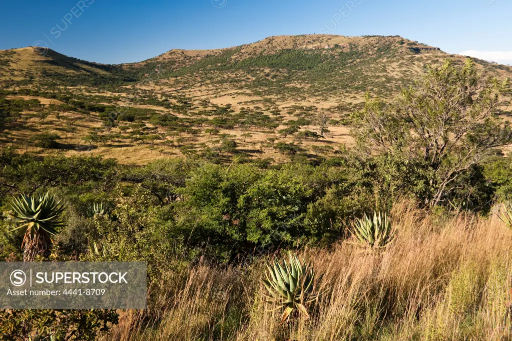 Spioenkop Battlefield from Three Trees Hill Lodge. Near Winterton. KwaZulu Natal. South Africa