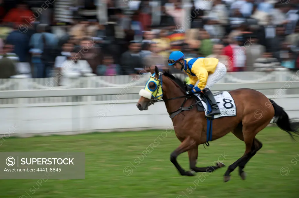 Horse galloping at the Vodacom Durban July at Greyville Race Course. Durban. KwaZulu Natal. South Africa.