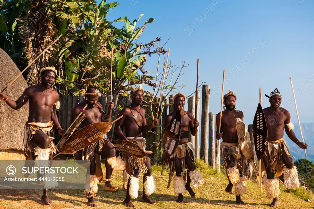 Zulu men (warriors) dancing. PheZulu Village. Bothas Hill. KwaZulu Natal. South Africa.