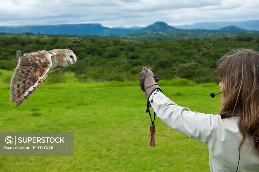Shanon Hoffman with a Barn Owl (Tyto alba)  at the African Bird of Prey Sanctuary. Durban. KwaZulu Natal. South Africa.