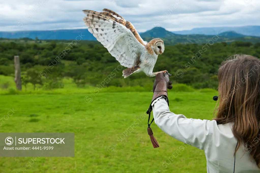 Shanon Hoffman with a Barn Owl (Tyto alba)  at the African Bird of Prey Sanctuary. Durban. KwaZulu Natal. South Africa.