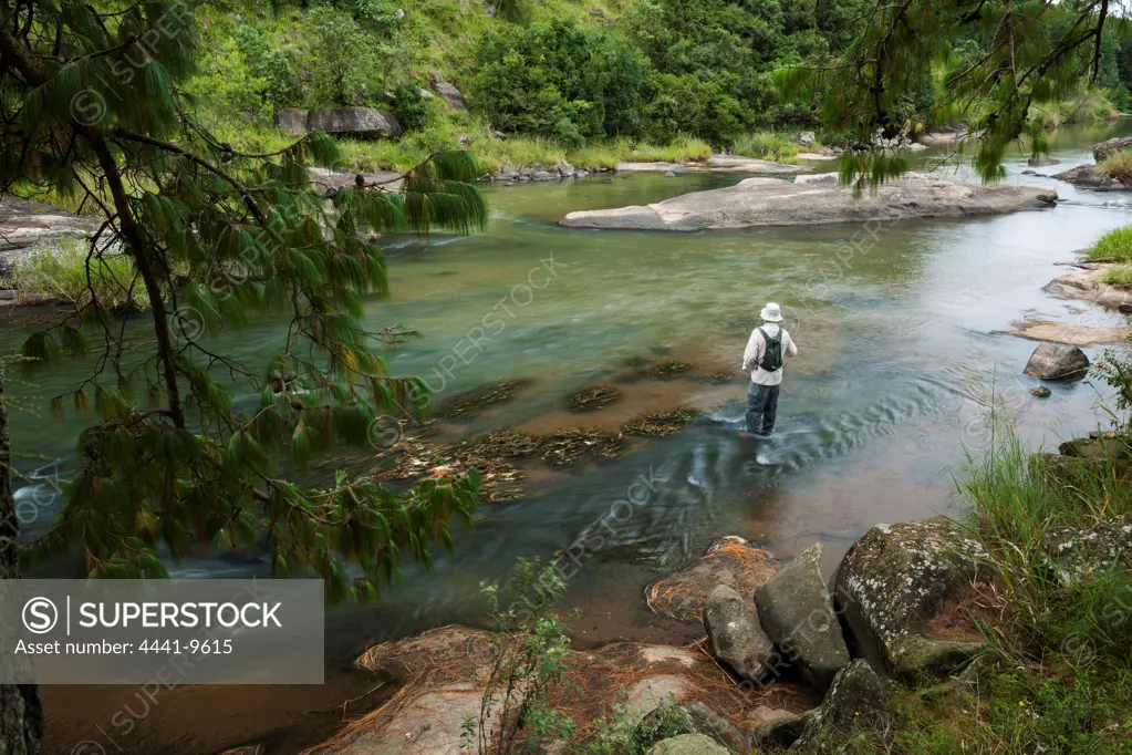 Fly fishing in the Karkloof River just above Woodhouse Falls.  KwaZulu Natal Midlands. South Africa