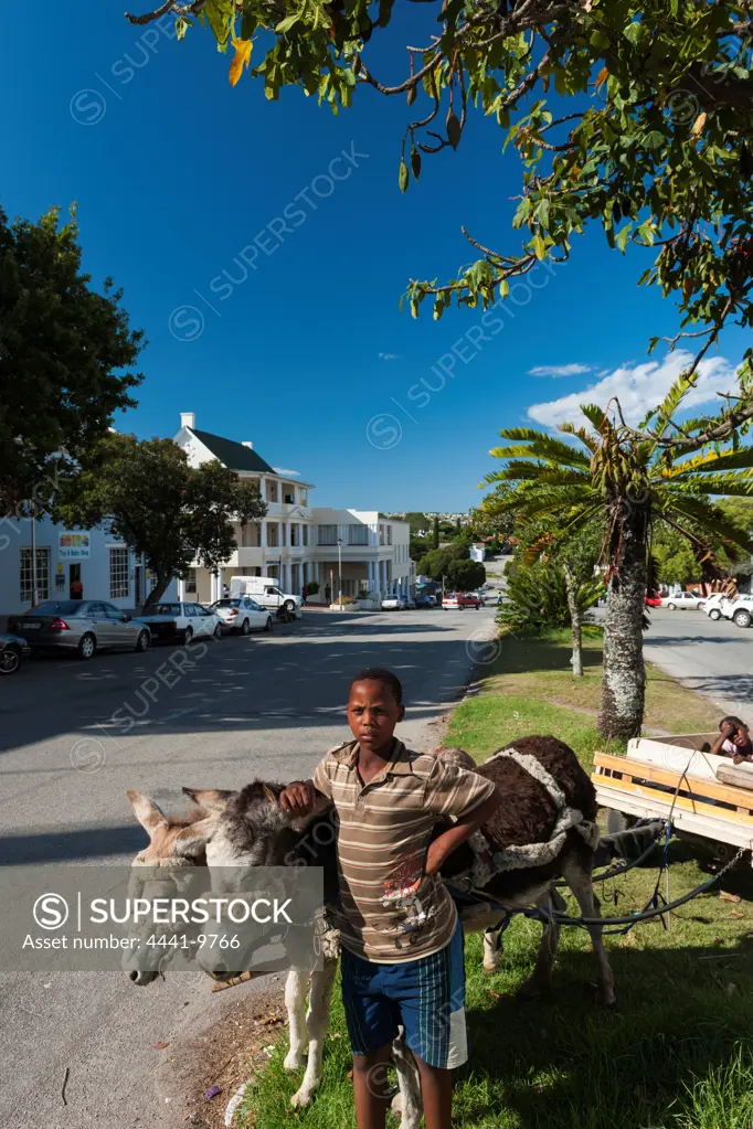 Boy with donkey cart, Grahamstown, Eastern Cape. South Africa