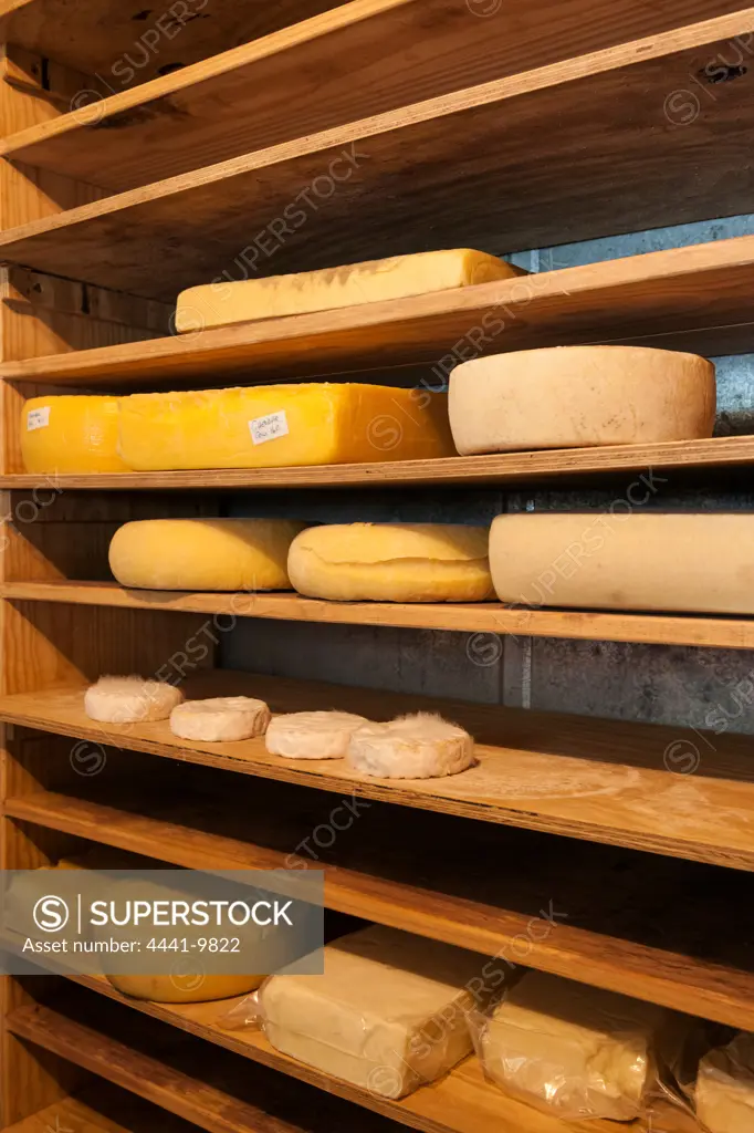 Cheese stored in cold room. Marakest Cheese. Rosetta. KwaZulu Natal Midlands. South Africa