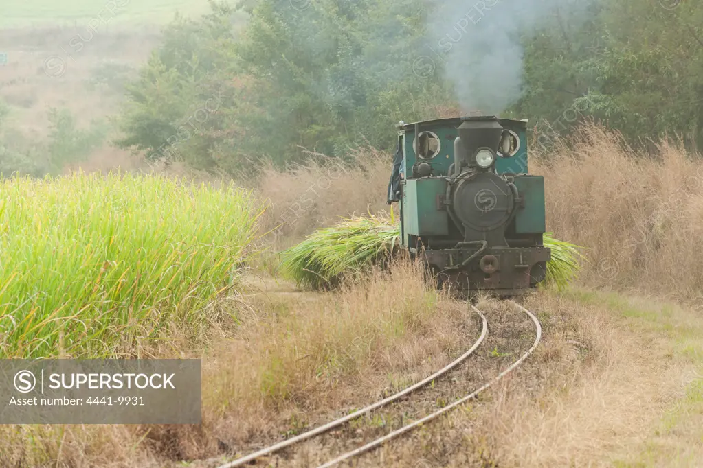Narow guage steam engibne used for transporting sugar cane. Carisbrooke. KwaZulu Natal Midlands. South Africa