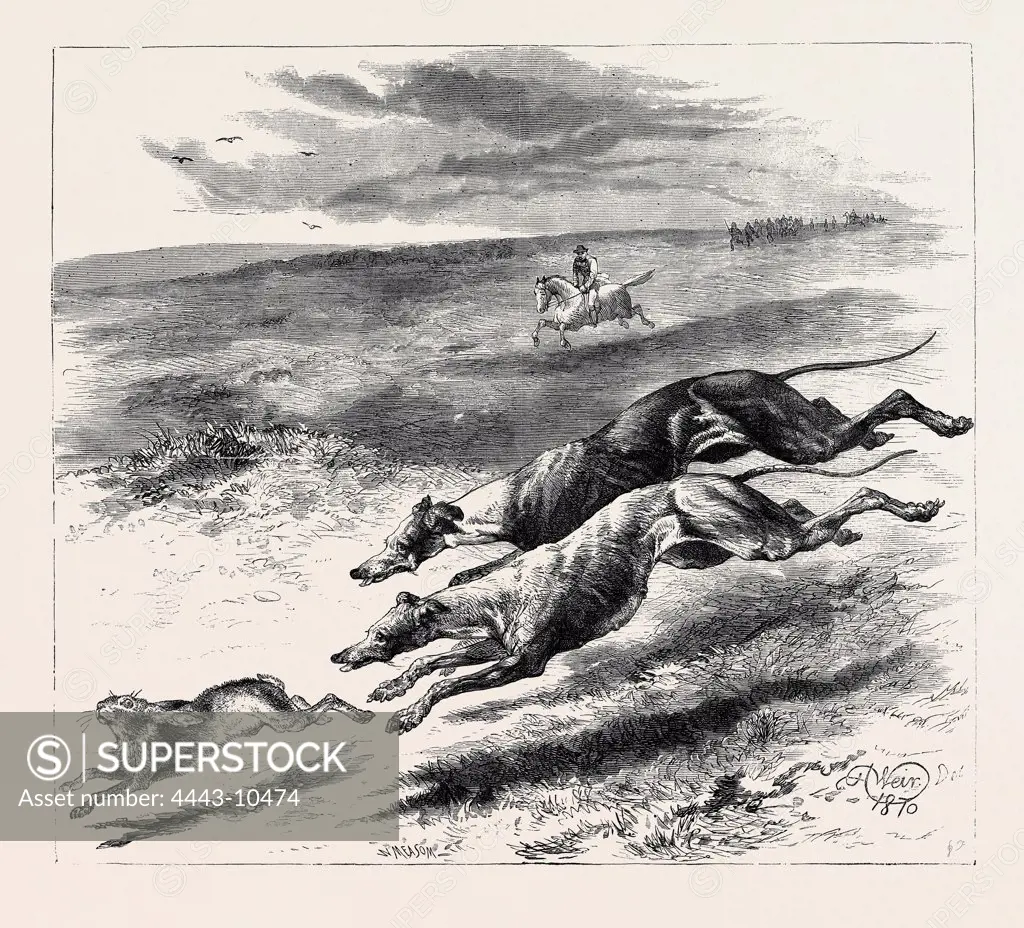 COURSING, 1870