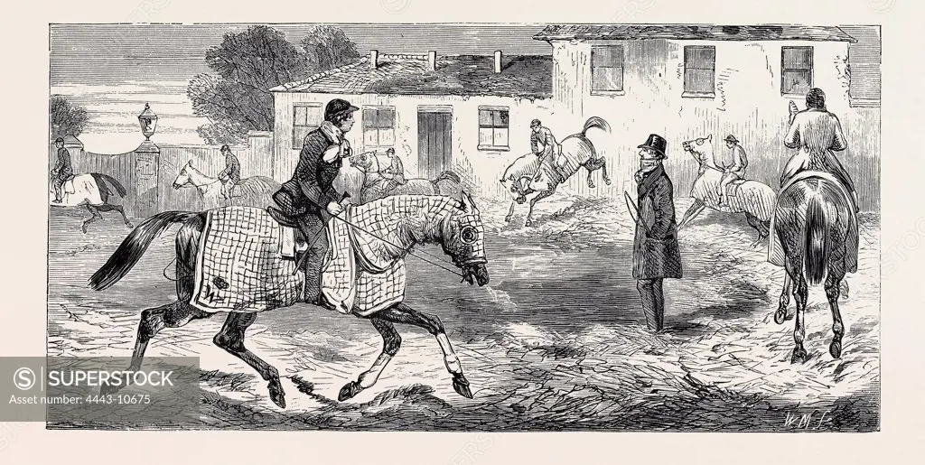 THE TRAINING OF A RACEHORSE