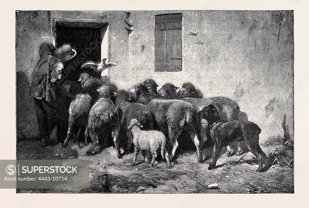 THE RETURN OF THE FLOCK, FROM A PICTURE BY JACQUE