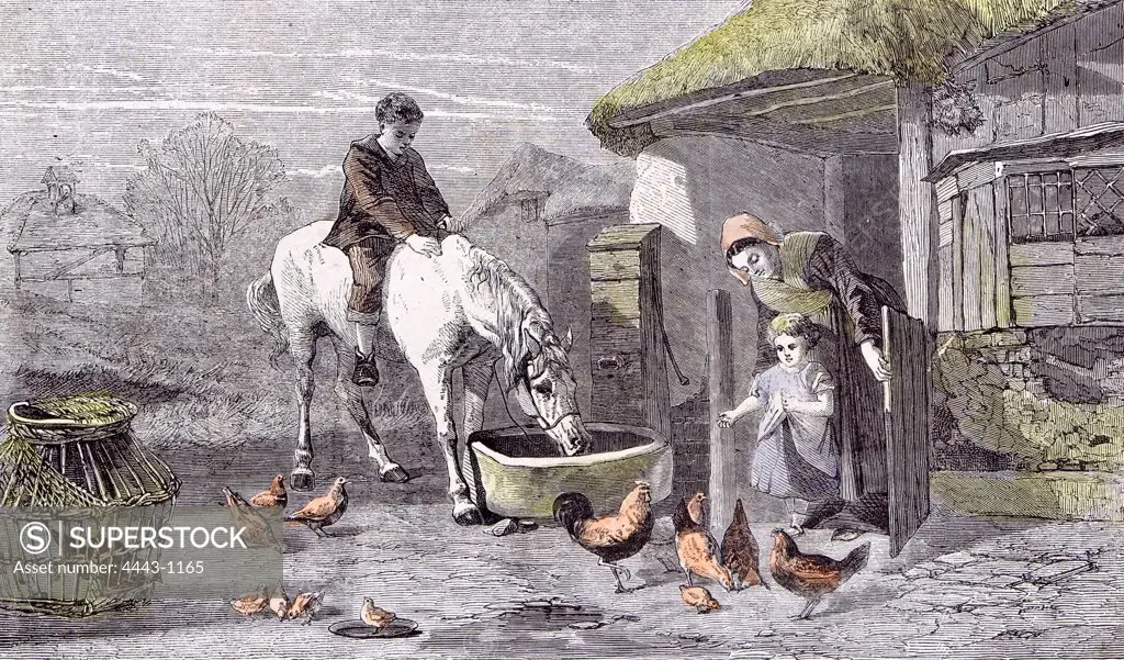 The Farmhouse Porch; Walter Goodall; Children; Horse; Chicken, 19th century, farm; white horse; drinking; chicken; mother; house; cage; wooden house; straw roof; window; crumbled wall; stable door; chicks;
