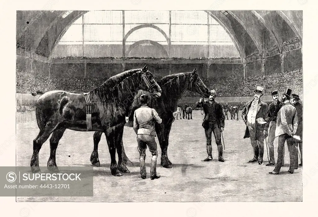 THE SHIRE HORSE SHOW AT THE AGRICULTURAL HALL