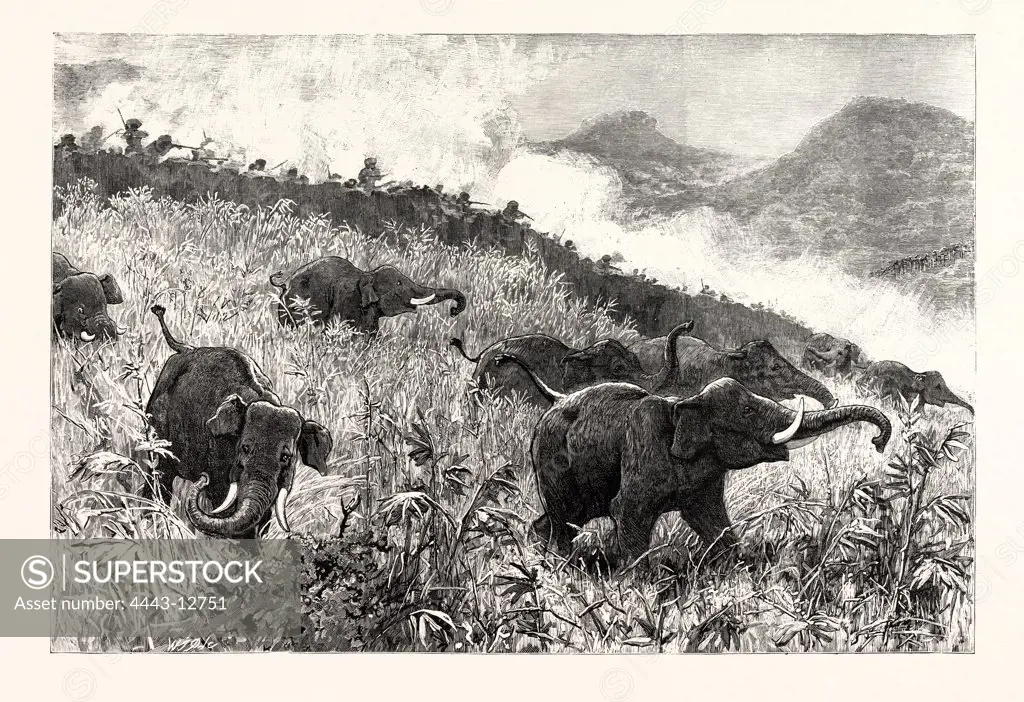 AN ELEPHANT KRAAL ARRANGED FOR THE CZAREVITCH, NEAR COLOMBO, CEYLON (SRI LANKA)