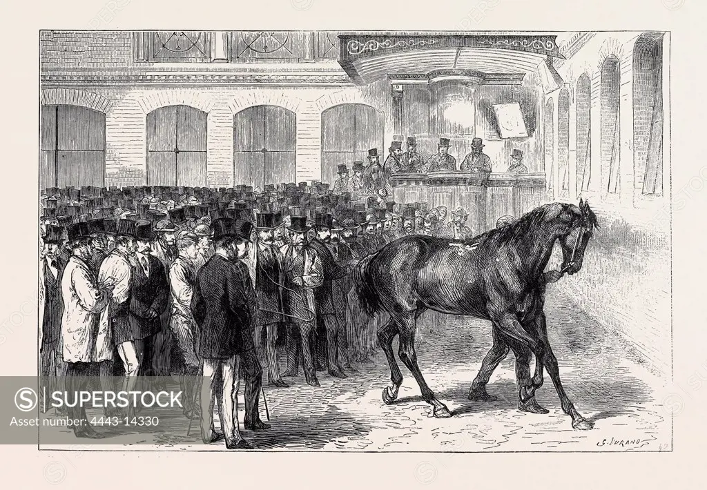 SALE OF THE HORSES OF THE TENTH HUSSARS AT TATTERSALL'S