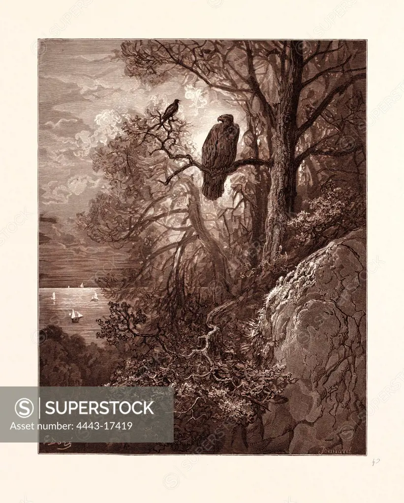 THE EAGLE AND THE MAGPIE, BY GUSTAVE DORE