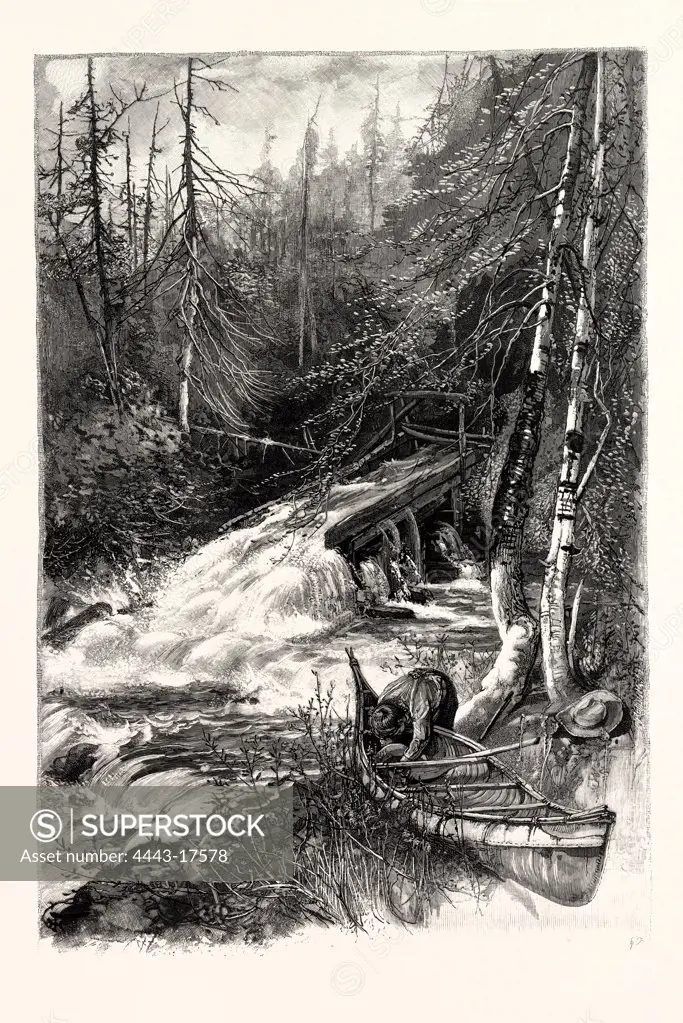 FOREST STREAM, AND TIMBER SLIDE, CANADA, NINETEENTH CENTURY ENGRAVING