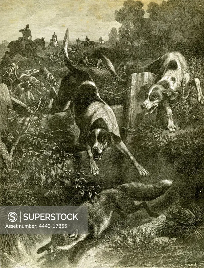 Hunt, Austria, Fox, 1891