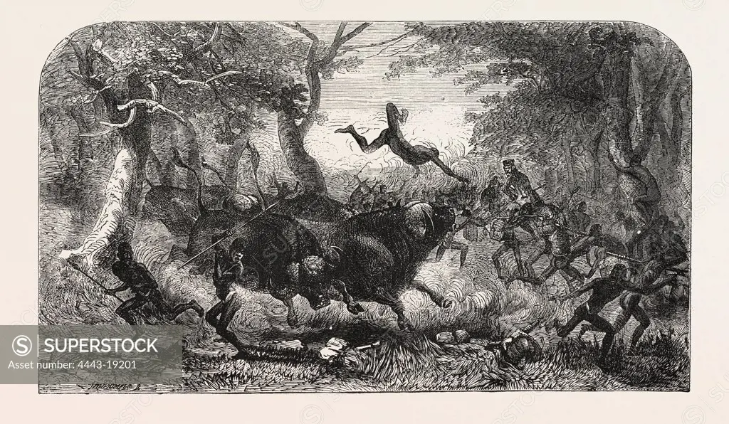 DR. LIVINGSTONE'S MISSIONARY TRAVELS AND RESEARCHERS IN SOUTH AFRICA: THE TRAVELLING PROCESSION INTERRUPTED, 1857