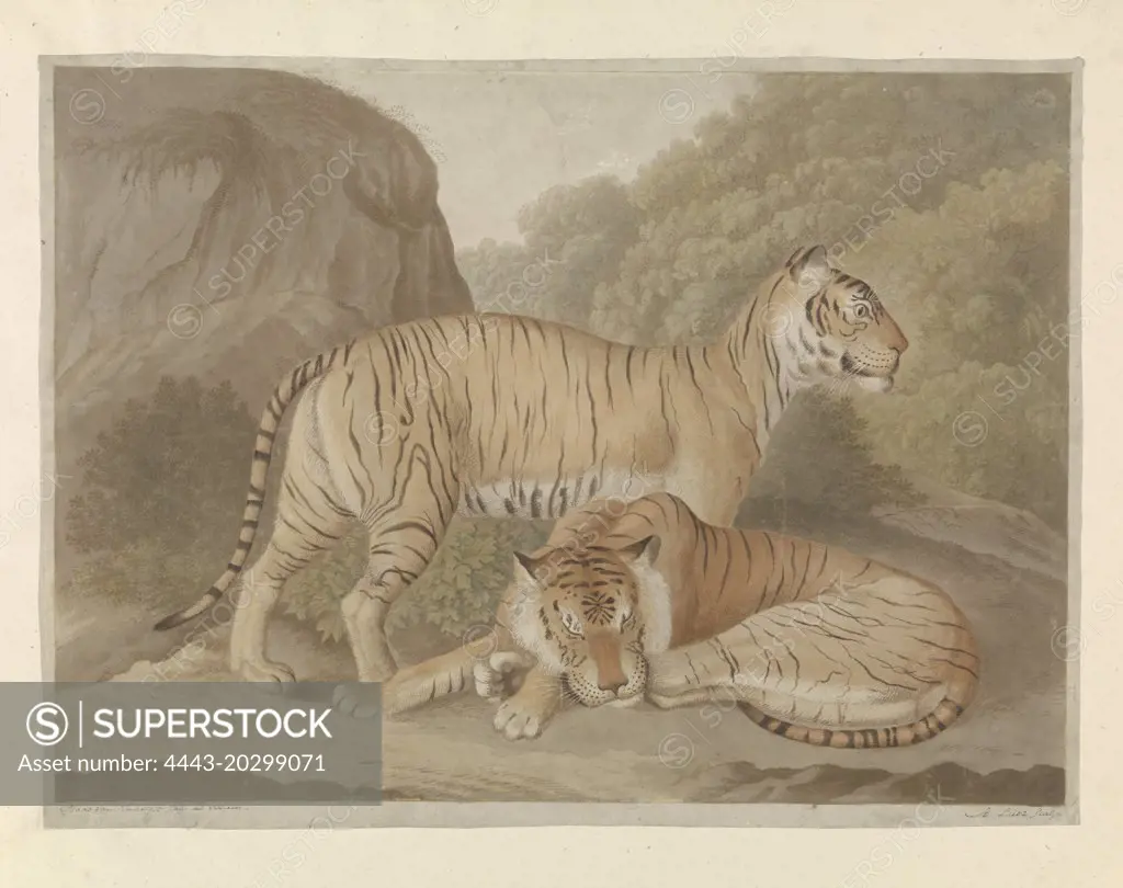 Two tigers in a landscape, A. Lutz, 1809 - 1822