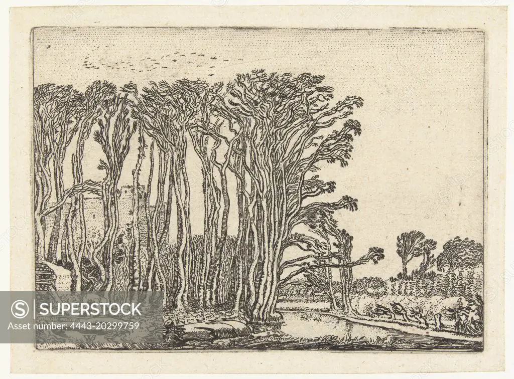 Landscape with bare trees at a water, Willem Pietersz. Buytewech, 1621