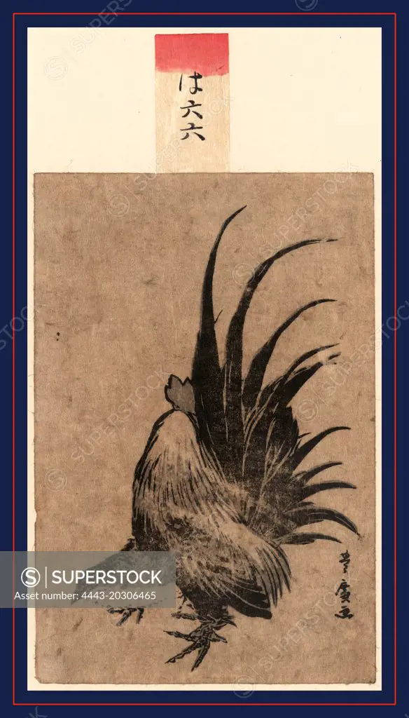 Niwatori, Chicken., Utagawa, Toyohiro, 1773-1829, artist, [between 1804 and 1818, 1 print : woodcut, color ; 17.2 x 11.4 cm.