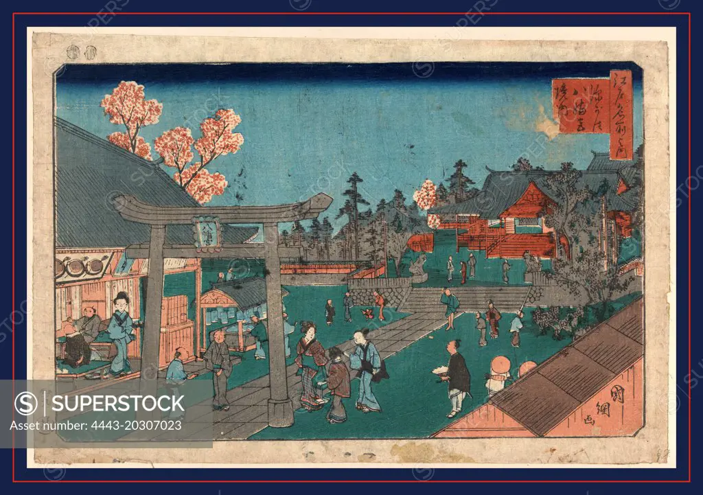Fukagawa hachimangu keidai, Inside Fukagawa Hachiman Shrine., Utagawa, Kuniteru, 1830-1874, artist, 1853., 1 print : woodcut, color ; 24.9 x 36.8 cm., Print shows a torii and many people on the grounds of the Tomioka  Hachiman shrine.