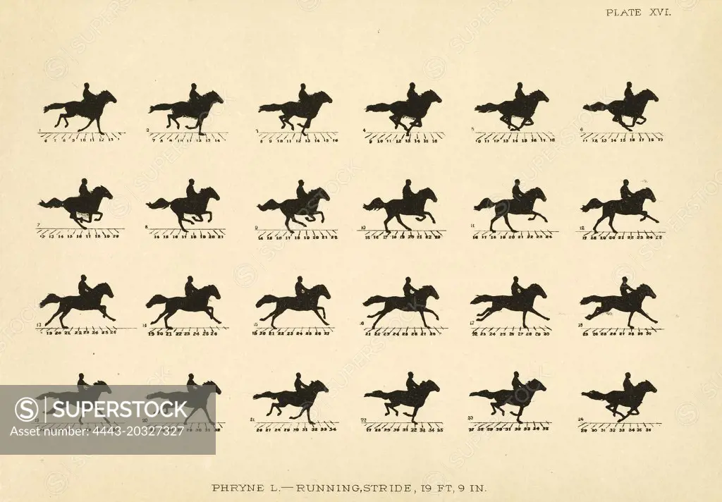 Eadweard Muybridge (American, born England, 1830 - 1904), The Horse in Motion as Shown by Instantaneous Photography with a Study on Animal Mechanics.., 1881-1882