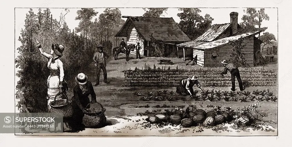 THE ENGLISH GARDEN, Scenes in Rugby, the English Colony in Tennesse, 1880, USA, America, 19th century engraving