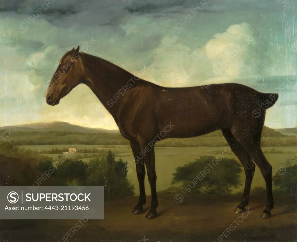 Brown Horse in a Hilly Landscape, unknown artist, 18th century, British