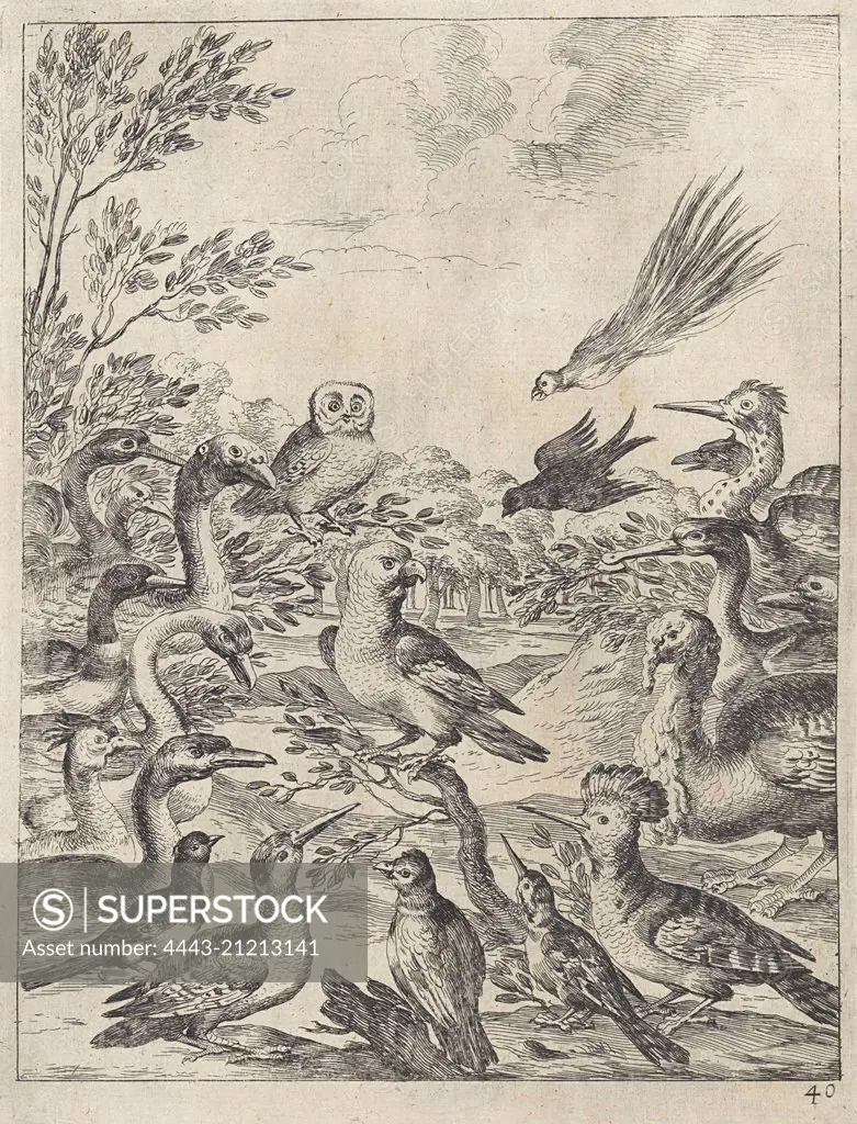 Parliament of birds, Dirk Stoop, John Ogilby, 1665