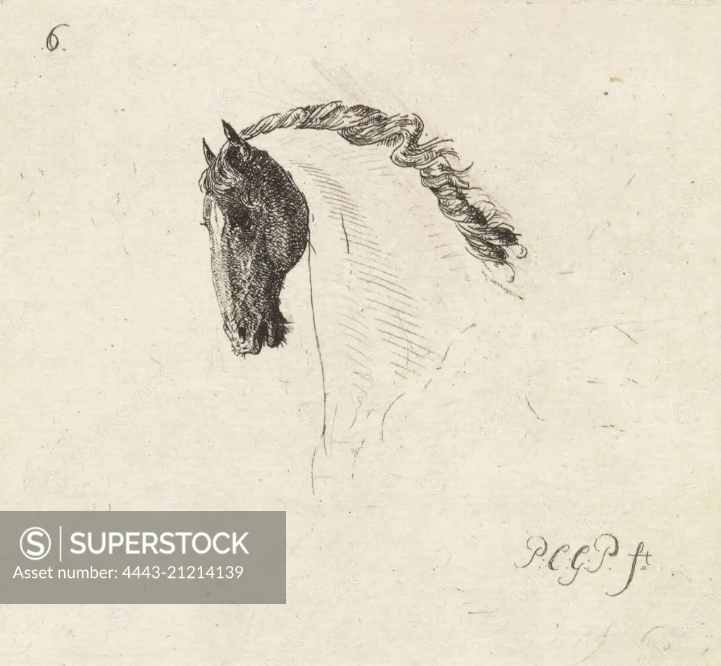 Horsehead, Paulus Charles Gerard Poelman, 1803 - 1846