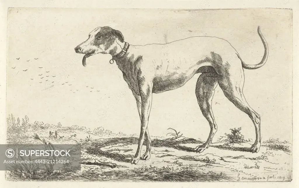 Greyhound Diana, Gerardus Emaus de Micault, 1819