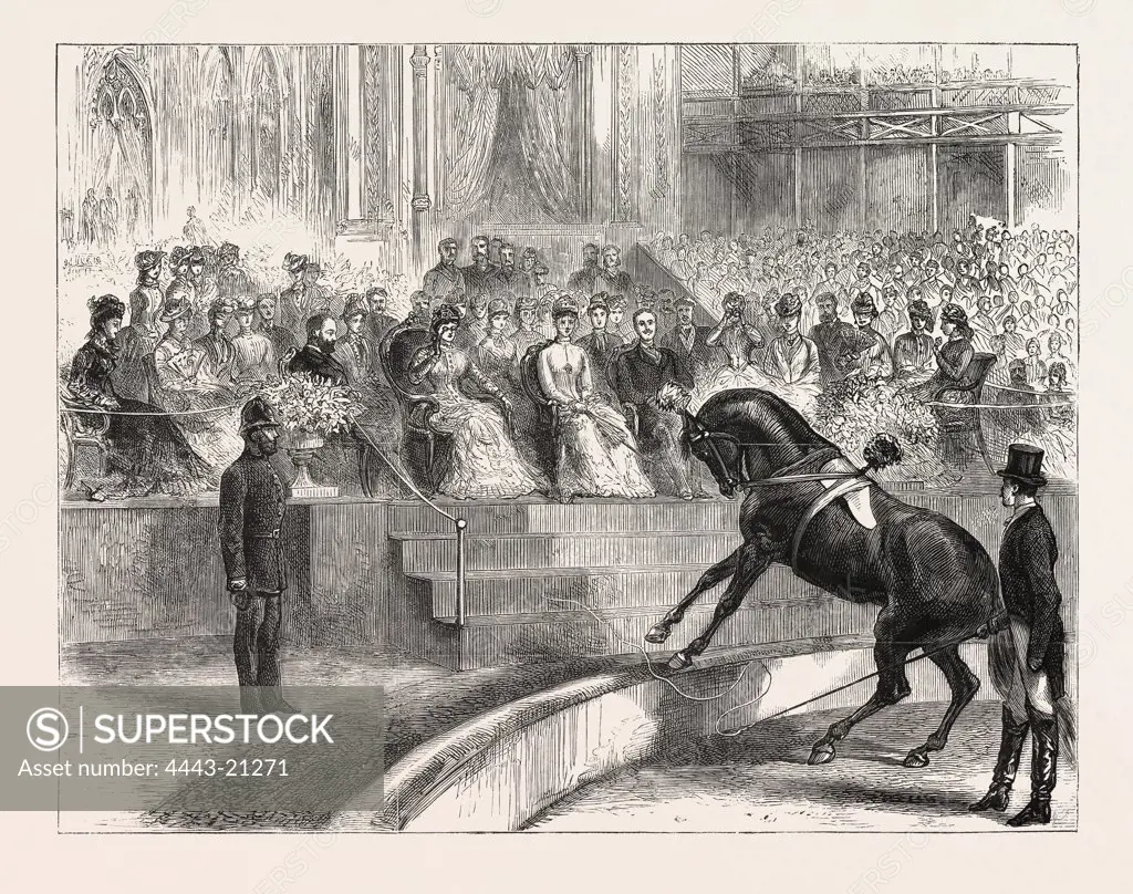 THE PRINCE AND PRINCESS OF WALES TO THE CRYSTAL PALACE THE ROYAL PARTY WITNESSING THE PERFORMANCE OF MYER'S CIRCUS, ENGRAVING 1876, UK, britain, british, europe, united kingdom, great britain, european