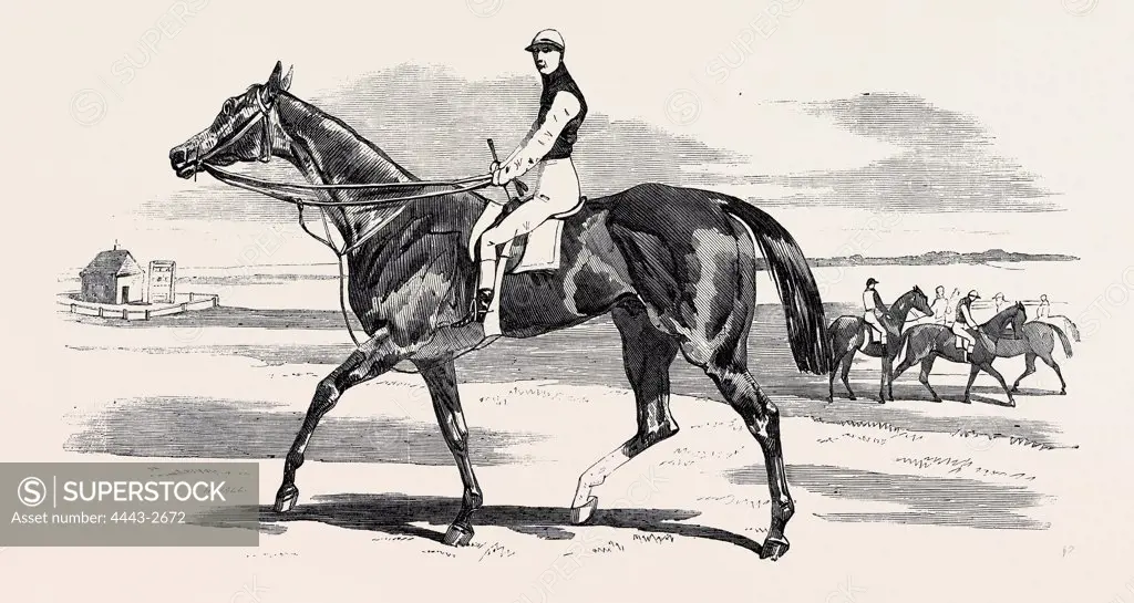 'ODD TRICK,' THE WINNER OF THE CAMBRIDGESHIRE STAKES AT NEWMARKET, 1857
