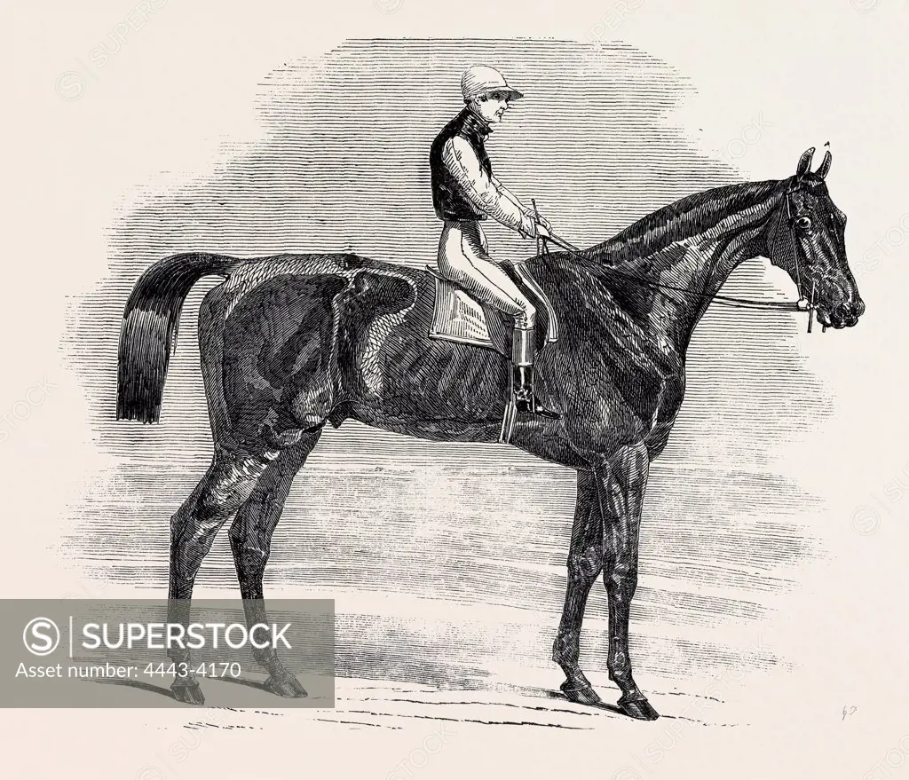 'WEATHERGAGE,' WINNER OF THE CESAREWITCH STAKES, AT NEWMARKET, 1852