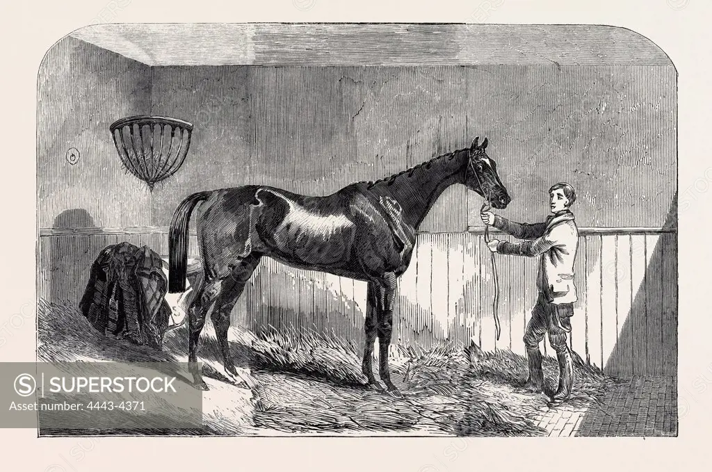 LORD JOHN SCOTT'S 'THE REIVER,' WINNER OF 'THE JULY STAKES,' AT NEWMARKET, 1852