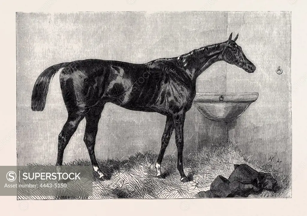 MR. R. SUTTON'S LORD LYON, WINNER OF THE TWO THOUSAND GUINEA STAKES AT NEWMARKET, UK, 1866