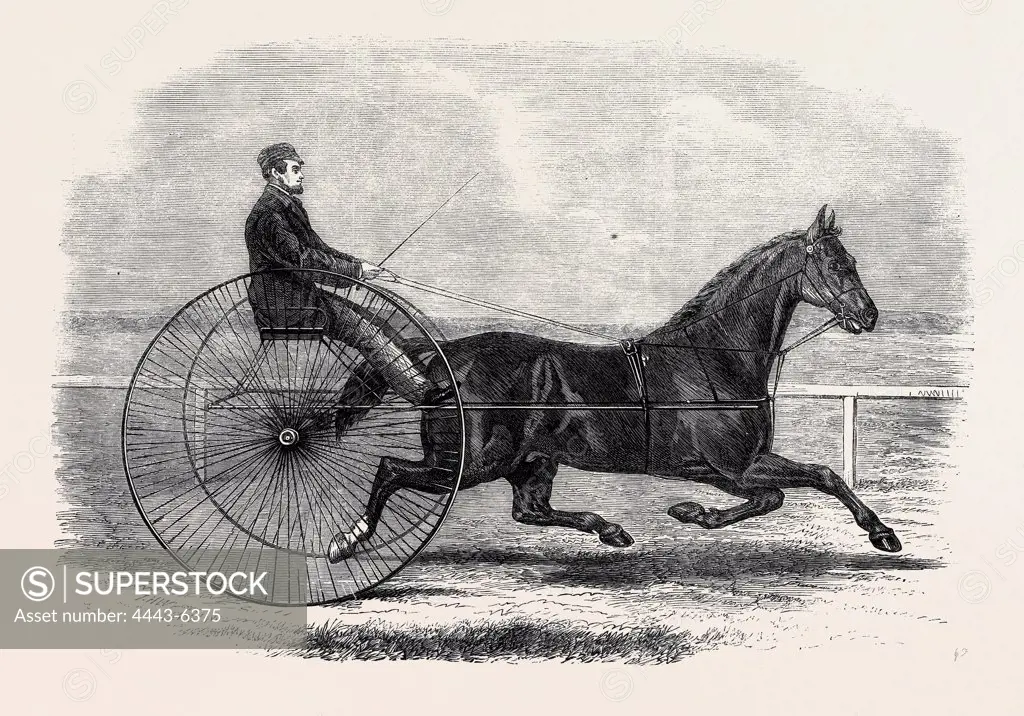 JACKEY, THE WINNER OF THE LATE AINTREE TROTTING STAKES AT LIVERPOOL