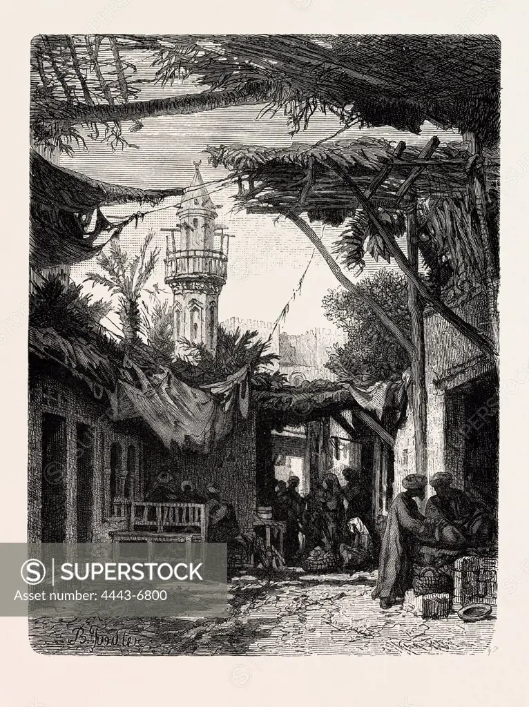 SUBURB AT THE BAB-EN-NASR.  Egypt, engraving 1879