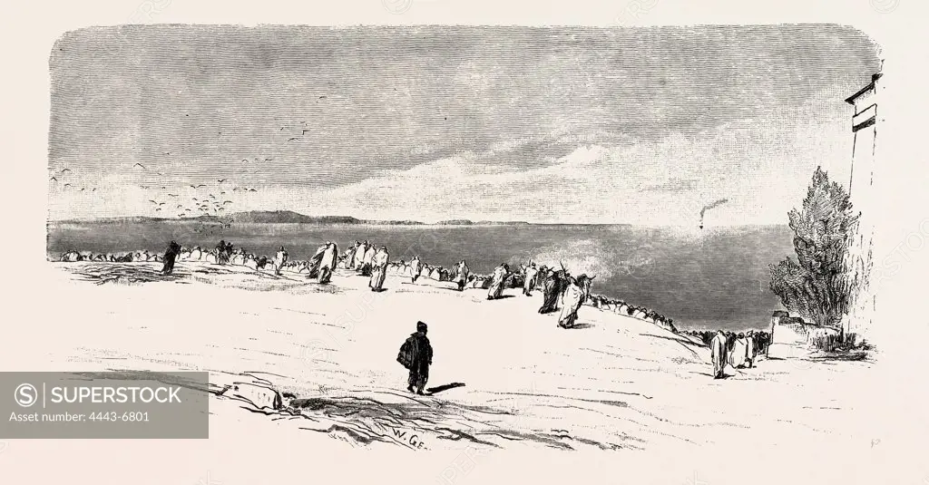 WAITING FOR THE PILGRIM SHIP NEAR SUEZ. Egypt, engraving 1879