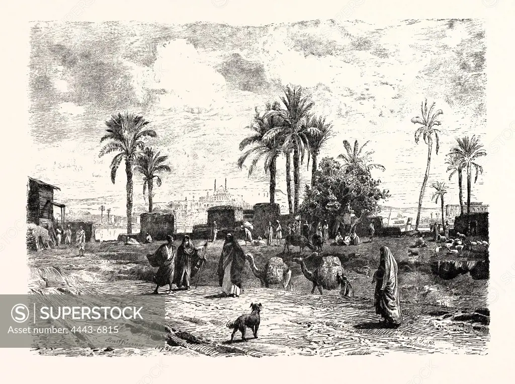 CAIRO; FROM THE LEFT BANK OF THE NILE. Egypt, engraving 1879